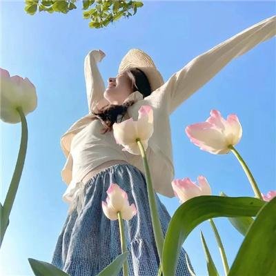 红槐花